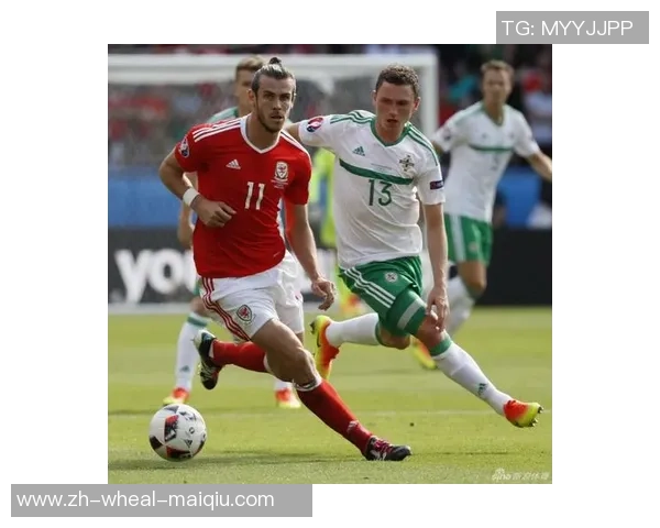 斯洛伐克1-0北爱尔兰，托马斯-博贝塞克一击取胜