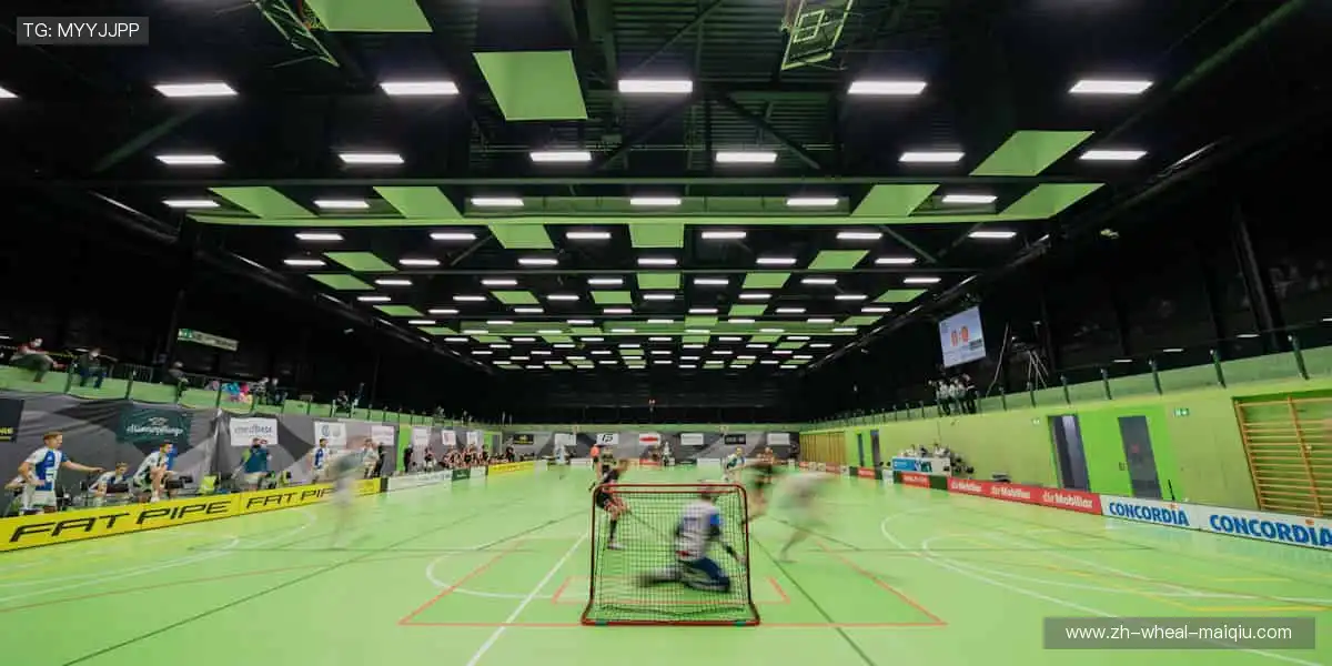 🎁 限量版周边,用细节诠释你对体育的极致热爱!🎲